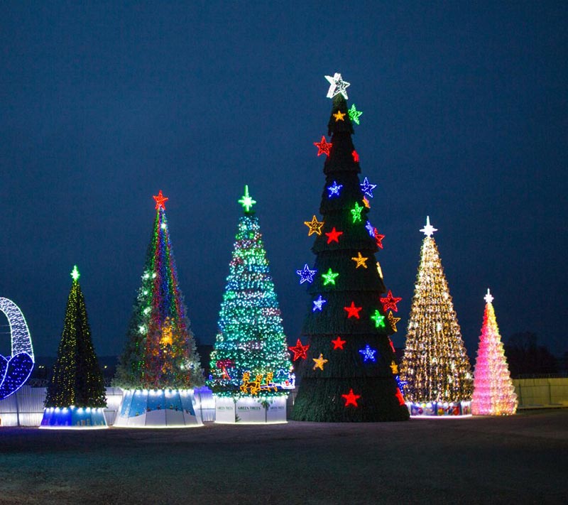 Уличные ёлки во Владивостоке