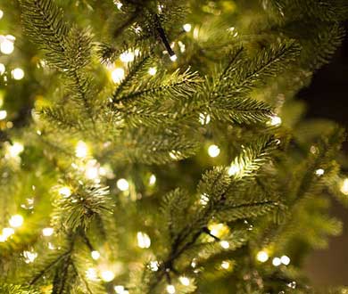 Искусственные световые ёлки во Владивостоке