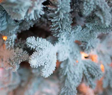 Искусственные заснеженные ёлки во Владивостоке