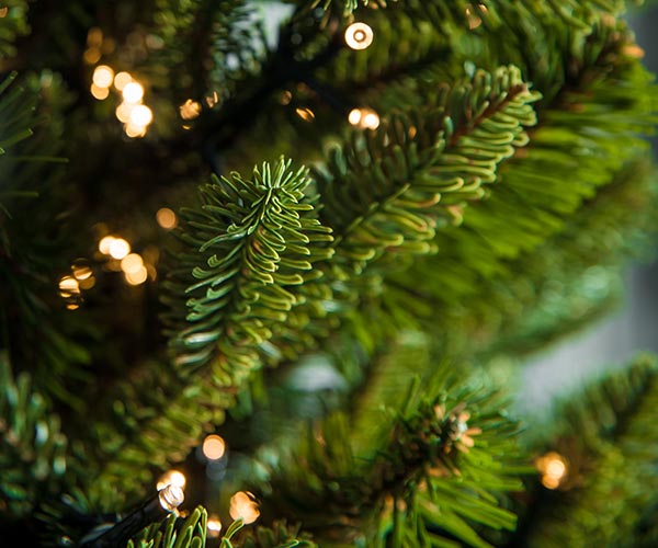 Гирлянды для комнатных ёлок во Владивостоке